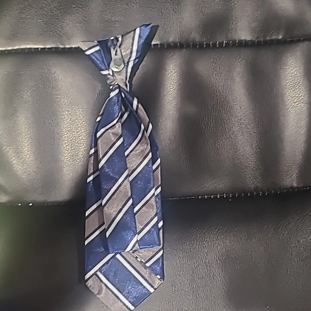 Clip On Tie